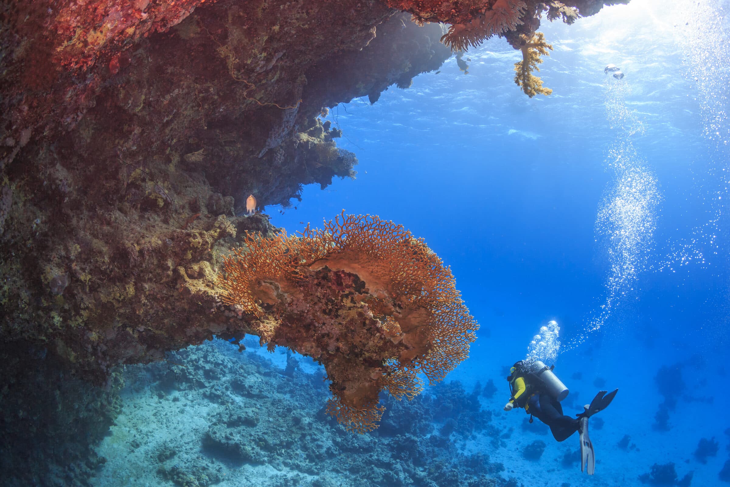 Hamata Islands